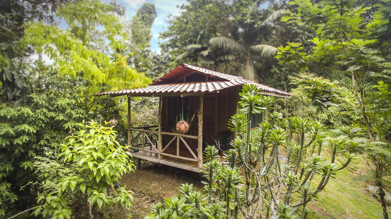 Naguala Jungle Lodge Drakes Bay Exterior foto