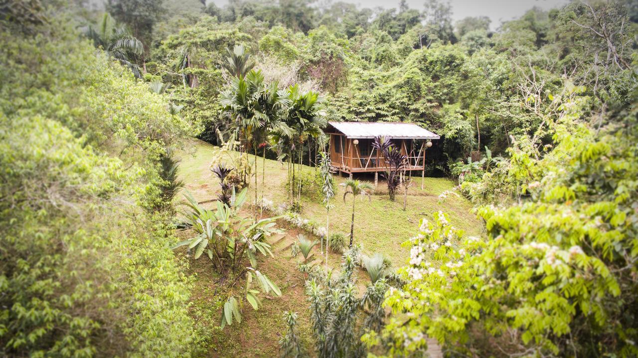 Naguala Jungle Lodge Drakes Bay Exterior foto