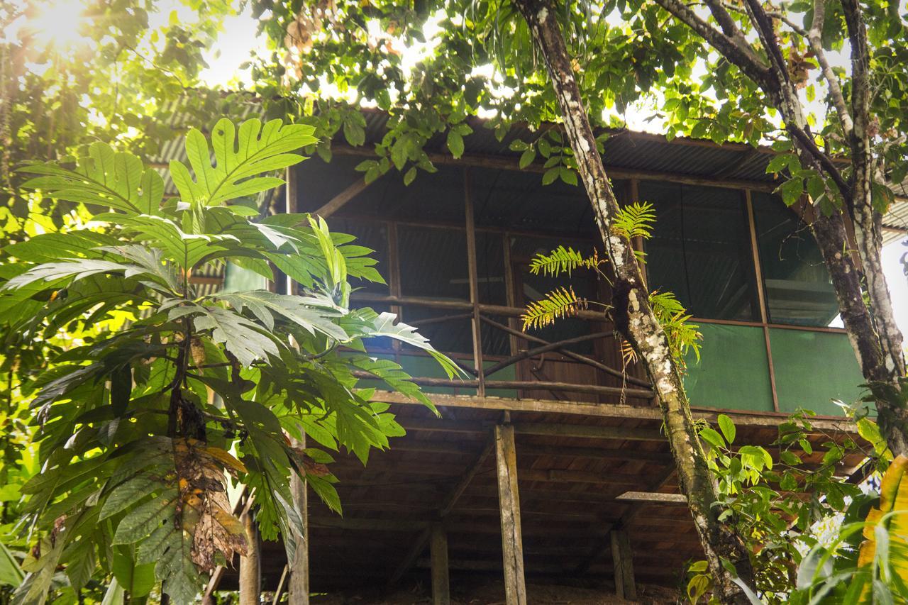 Naguala Jungle Lodge Drakes Bay Exterior foto